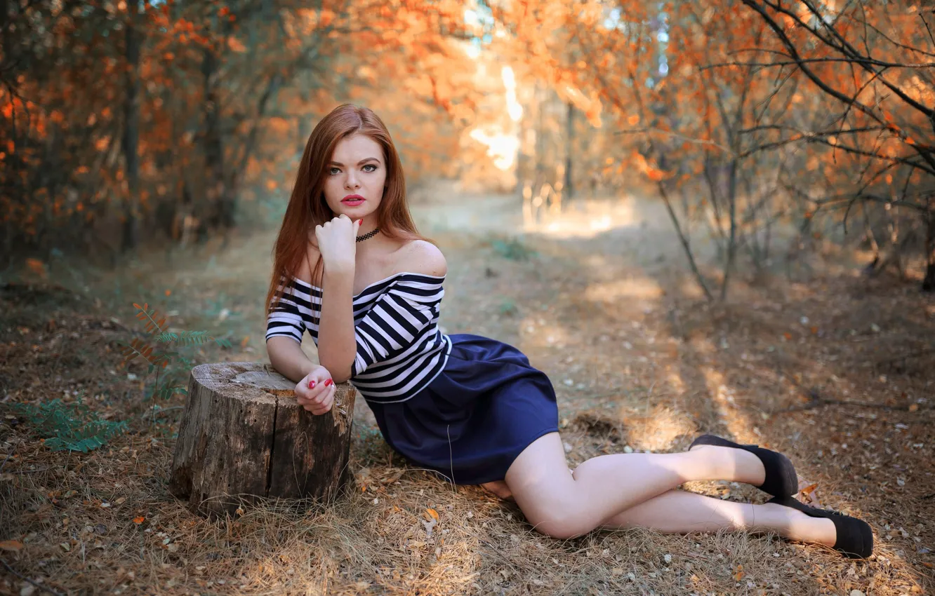 Фото обои осень, взгляд, деревья, модель, пень, юбка, портрет, макияж