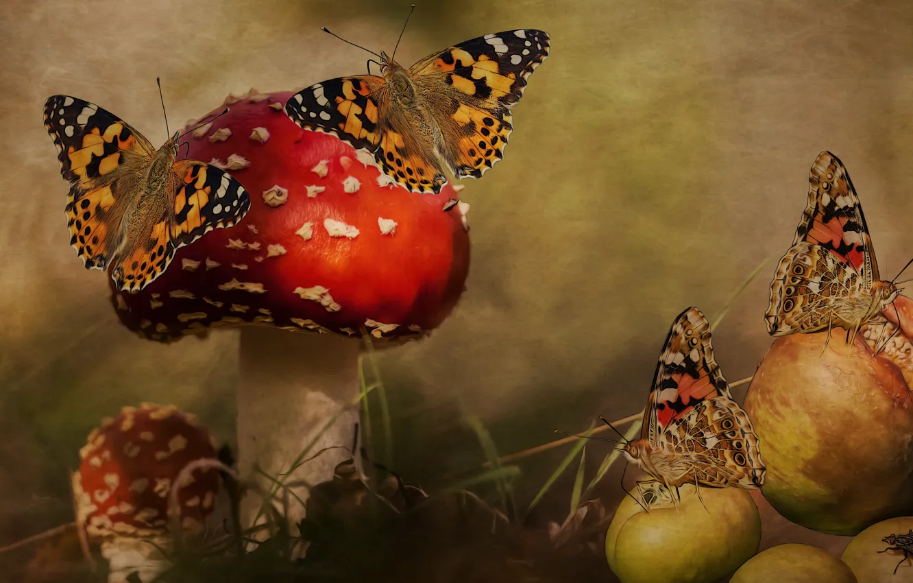 Фото обои лес, бабочки, рендеринг, муха, коллаж, яблоки, грибы, обработка