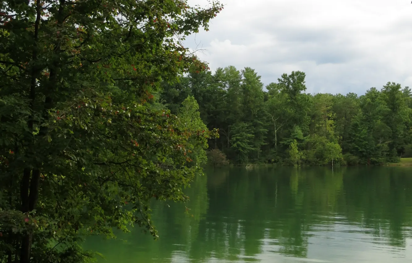 Фото обои деревья, озеро, Природа, trees, nature, lake