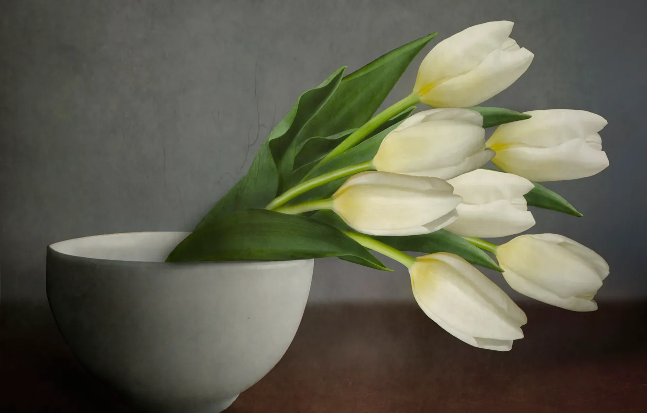 Фото обои фон, текстура, чаша, тюльпаны, белые, бутоны
