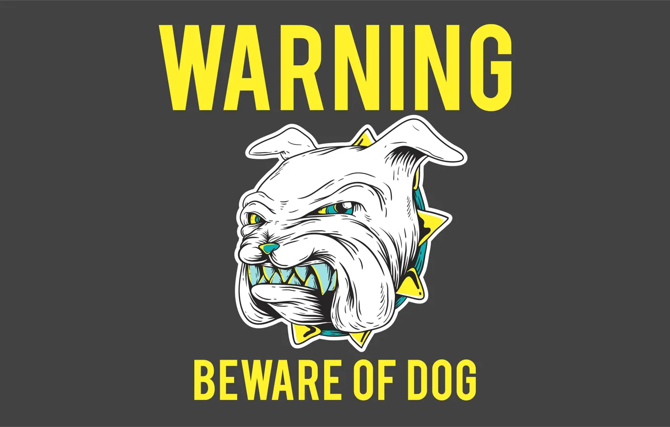 Фото обои собака, зубы, ошейник, dog, warning