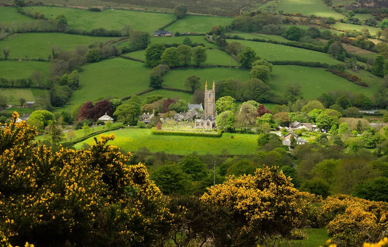 Фото обои зелень, деревья, поля, дома, деревня, панорама, храм, Devon
