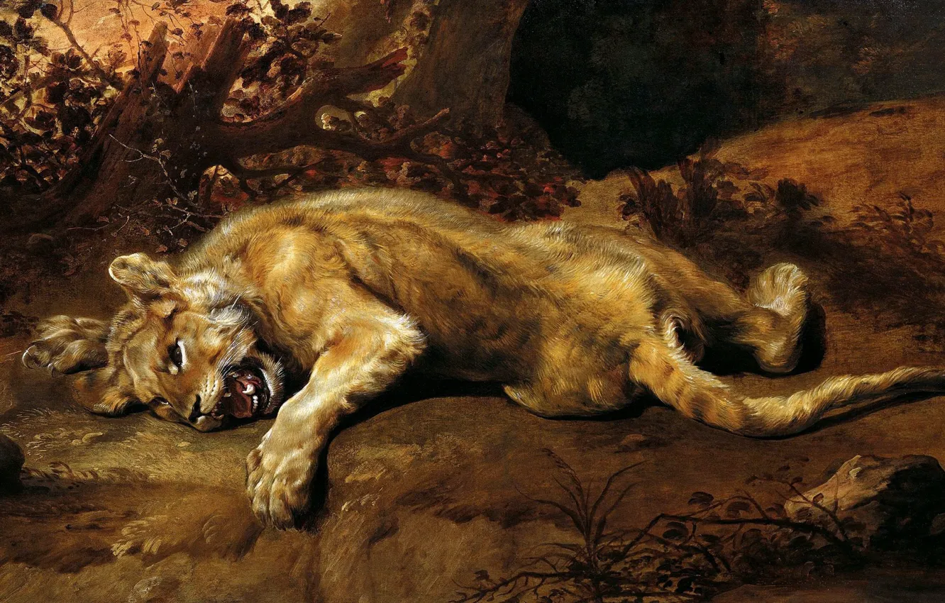 Фото обои кошка, хищник, когти, клыки, живопись, Арт, золотой век