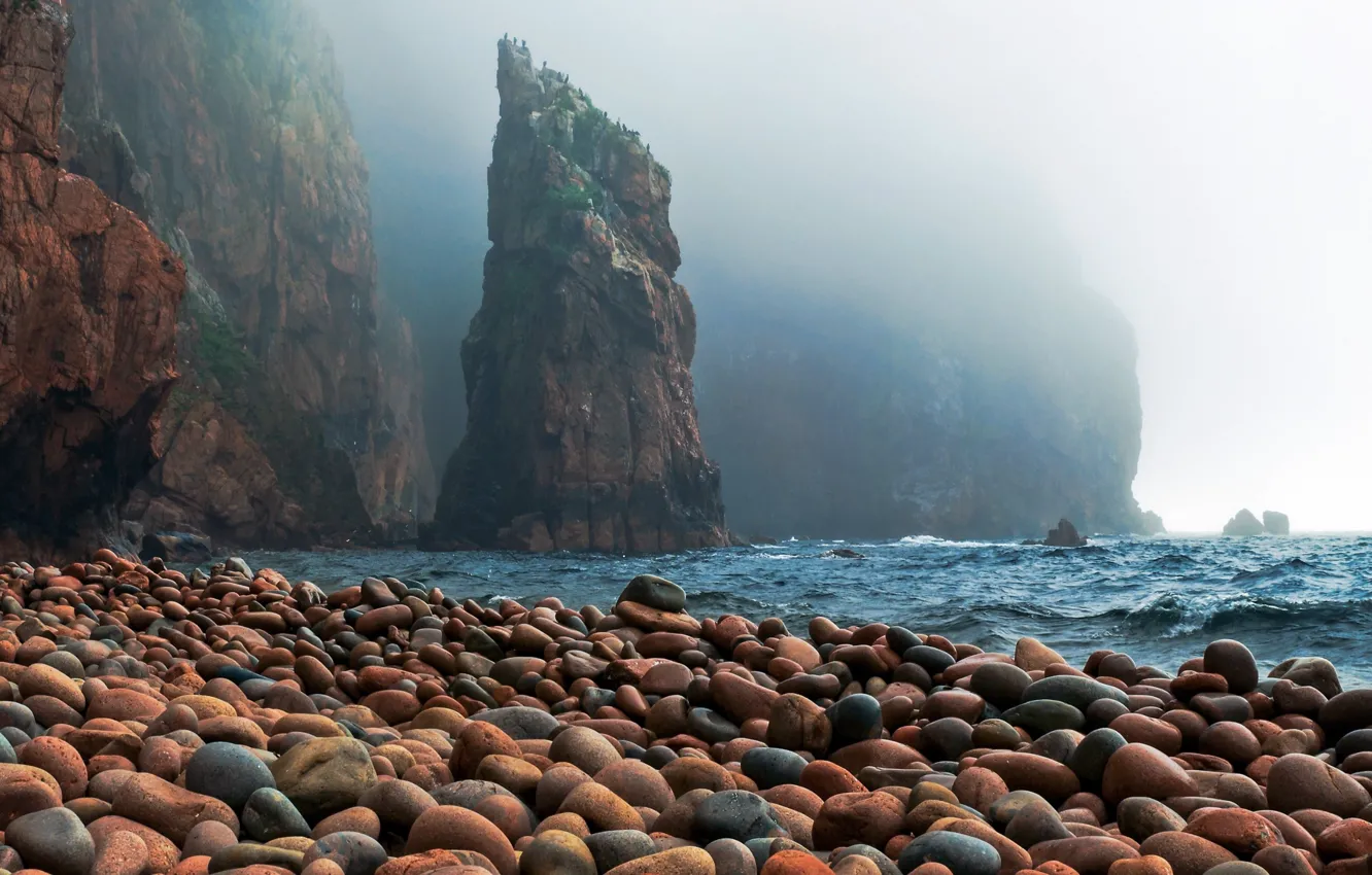 Фото обои waves, sea, ocean, landscape, Coast, nature, water, rocks