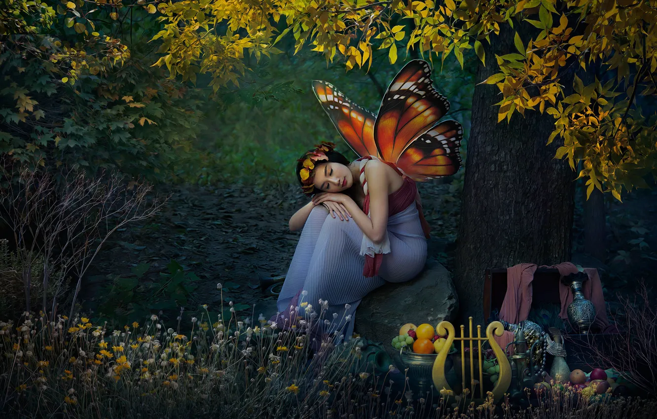 Фото обои лес, девушка, природа, бабочка, эльф, крылья, фэнтези, арфа