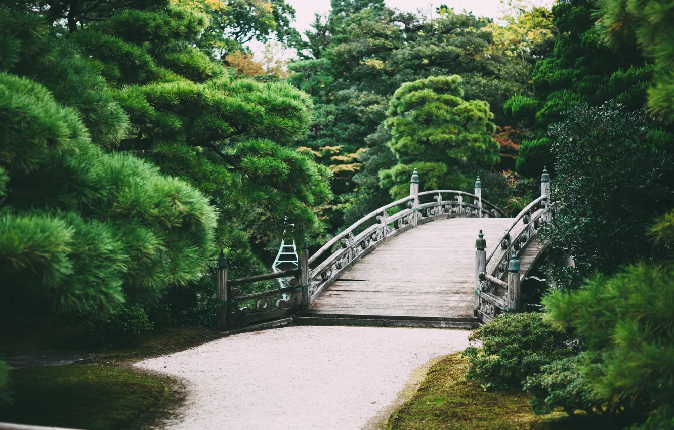 Фото обои деревья, мост, парк, сад