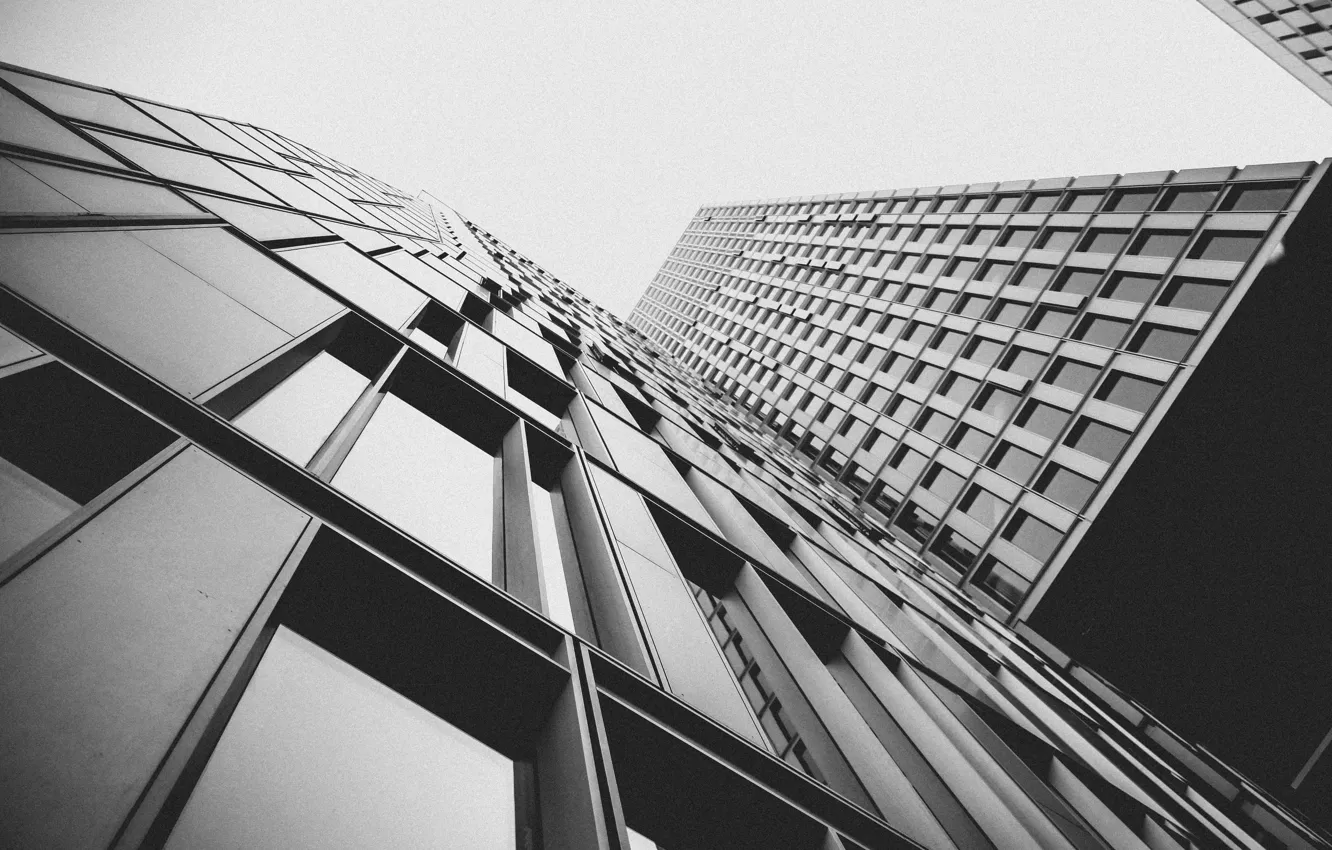 Фото обои windows, black and white, buildings, skyscrapers, b/w