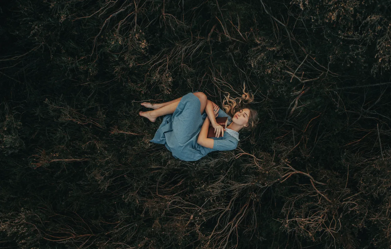 Фото обои девушка, природа, поза, темный фон, растительность, сон, спит, лежит
