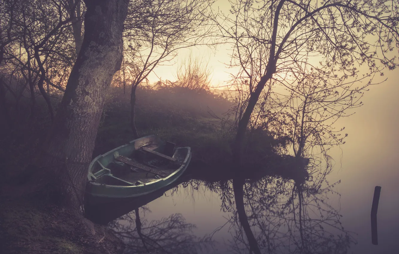 Фото обои туман, озеро, отражение, дерево, рассвет, ветви, лодка, зеркало