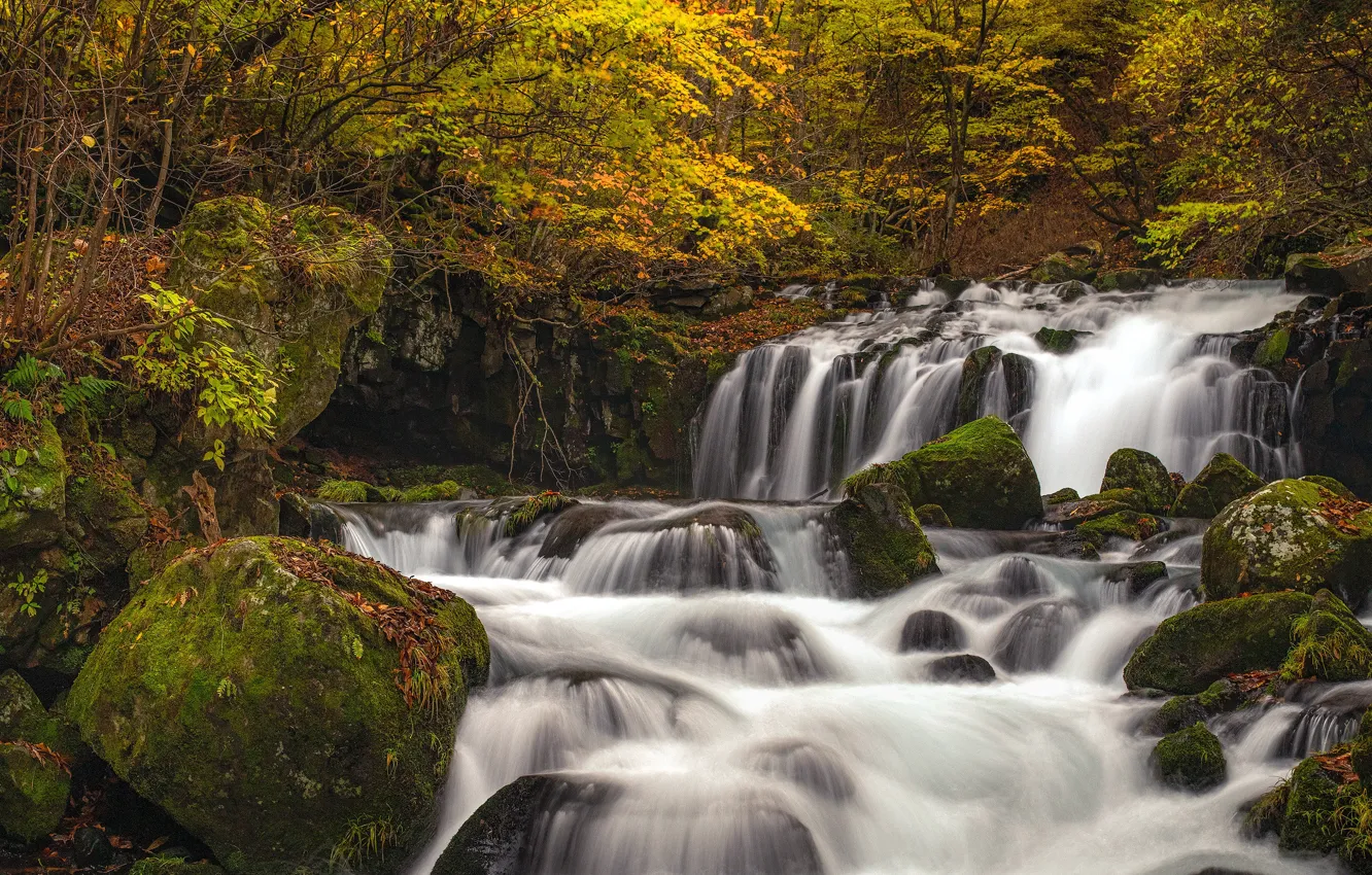 Фото обои осень, лес, река, камни, водопад, мох, Япония, панорама