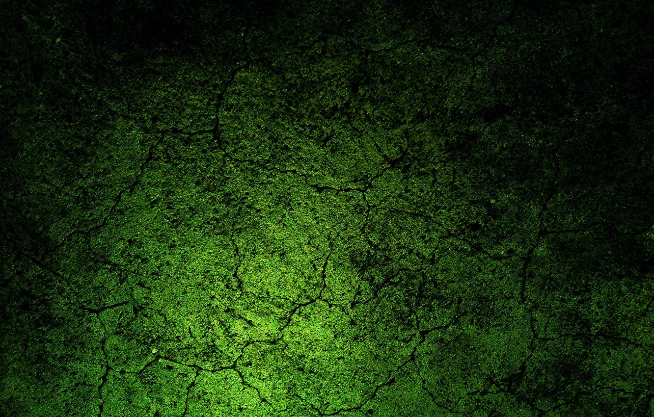 Фото обои абстракция, зеленый, green, текстура, texture, abstraction, 1920x1434