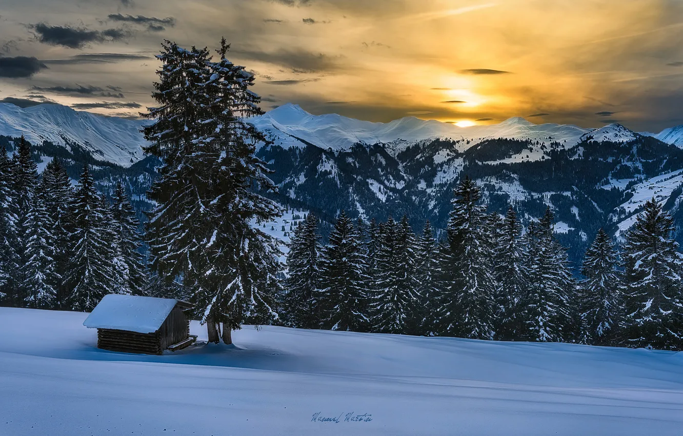 Фото обои зима, лес, снег, горы, Альпы
