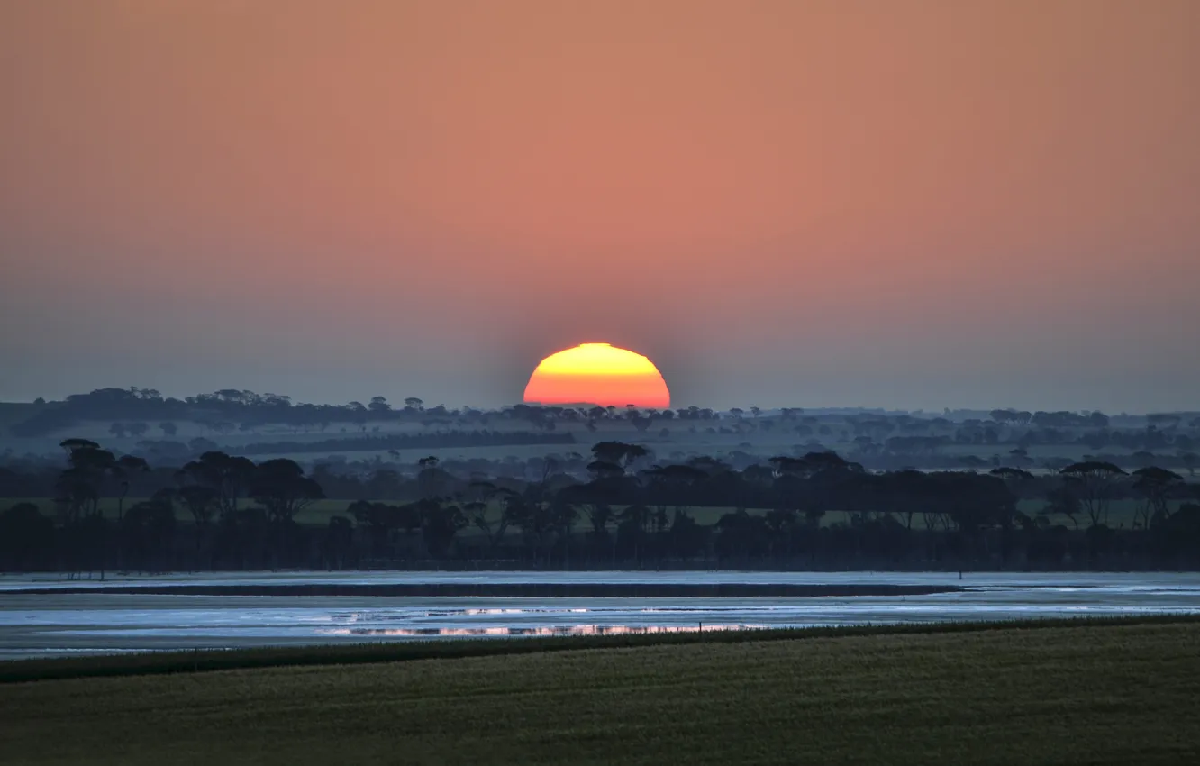 Фото обои поле, солнце, закат, природа, панорама