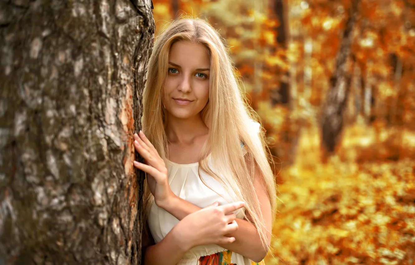 Фото обои осень, взгляд, листья, девушка, лицо, милая, модель, портрет