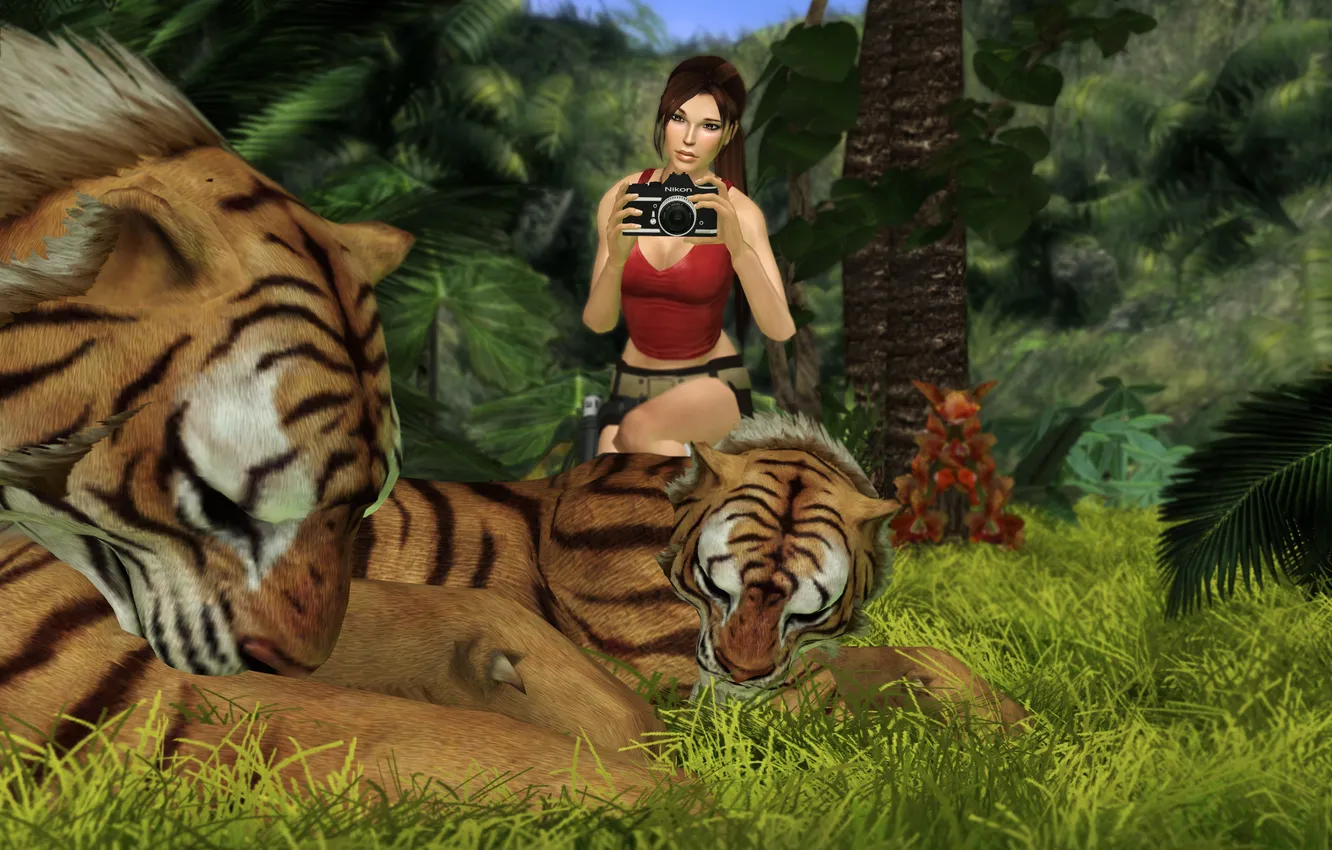 Фото обои трава, хищники, фотоаппарат, тигры, nikon, Lara Croft, Tomb raider