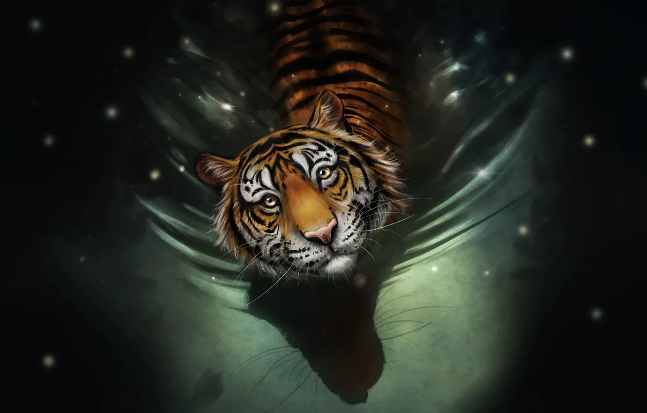 Фото обои Вода, Рисунок, Взгляд, Кошка, Тигр, Морда, Art, Tiger