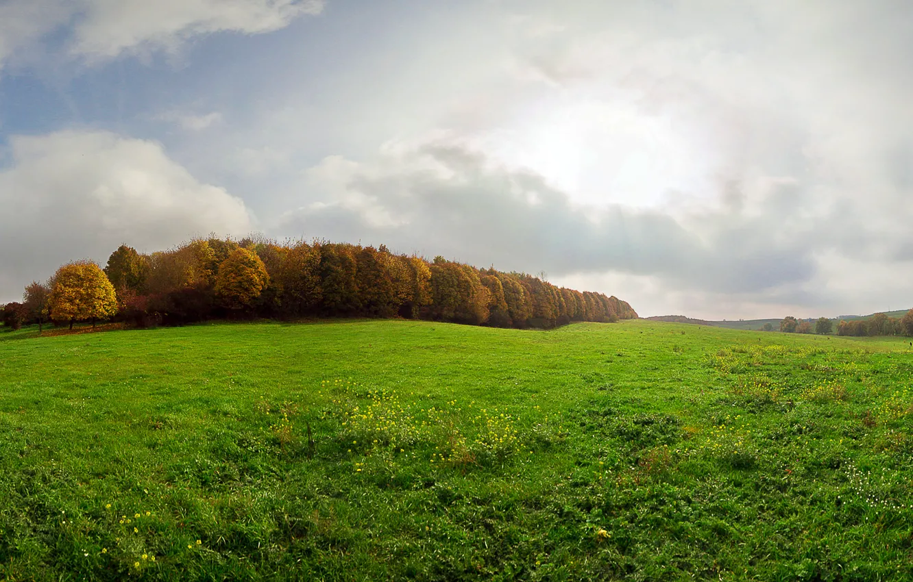 Фото обои осень, трава, поляна, Украина, Дергачов, Dergachov