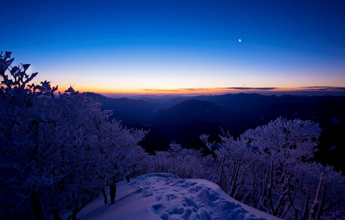 Фото обои небо, снег, деревья, закат, горы, месяц