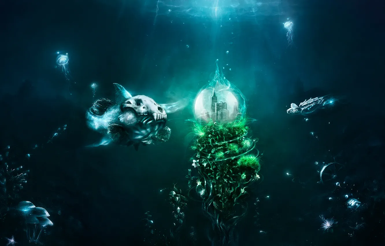 Фото обои грибы, черепаха, рыба, медузы, под водой