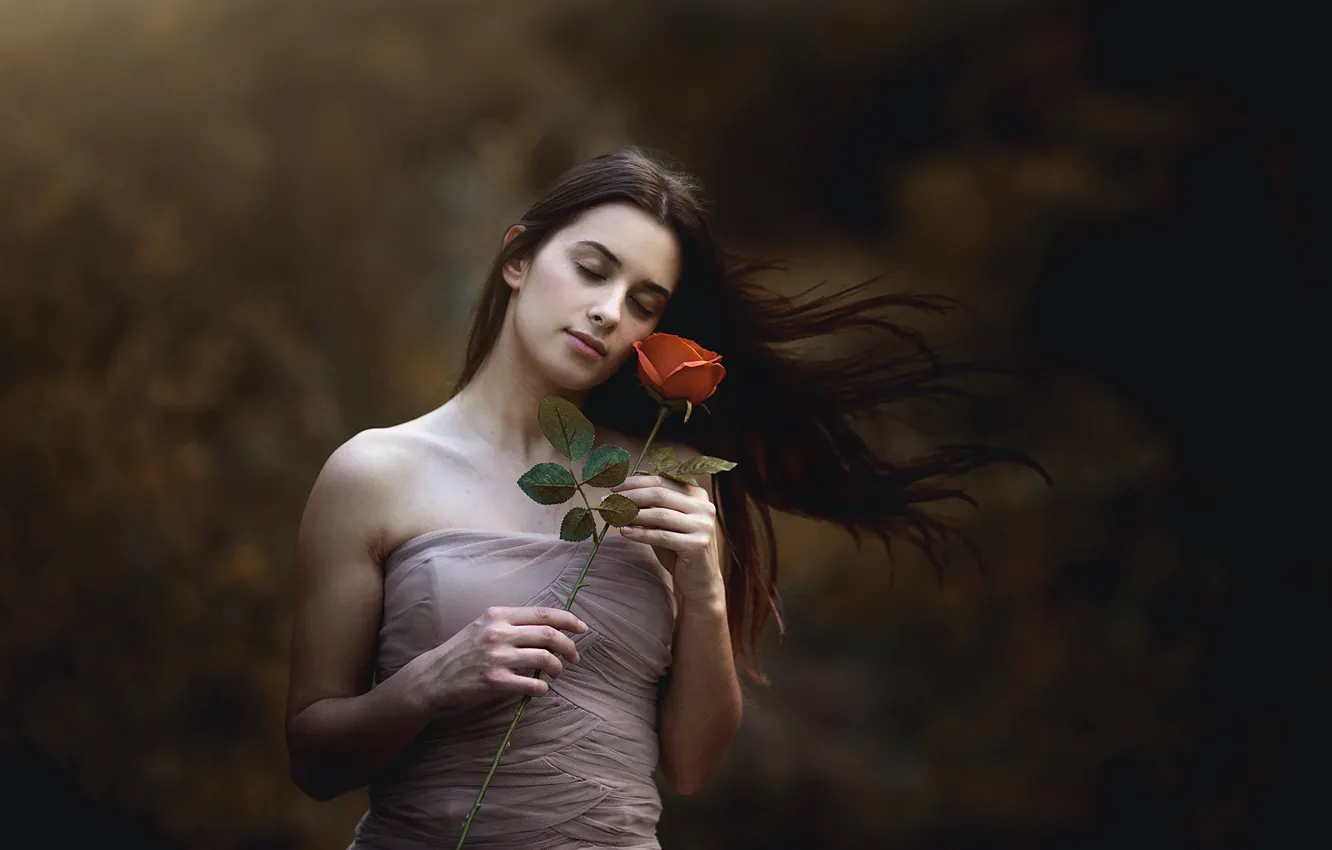 Фото обои цветок, девушка, роза