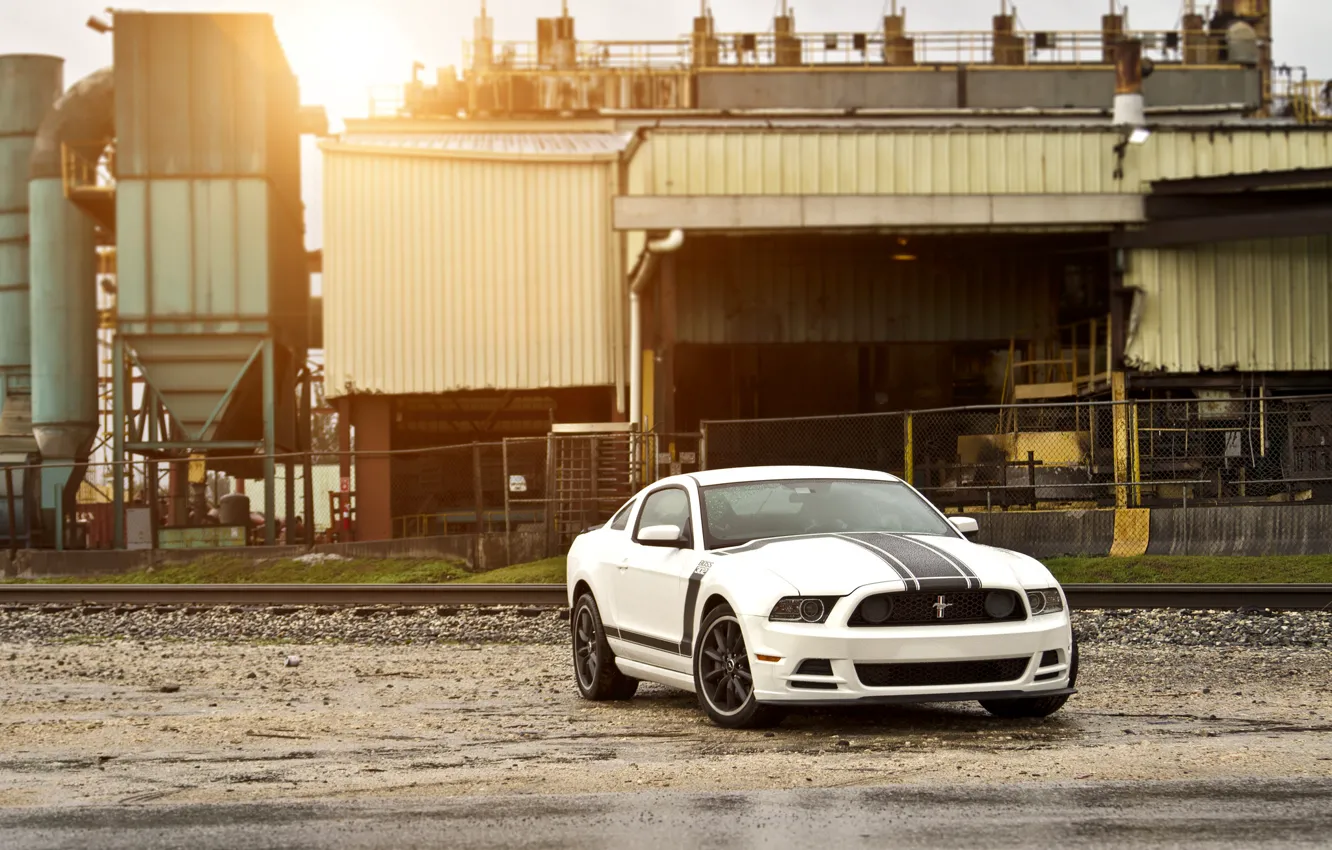 Фото обои белый, Mustang, Ford, мустанг, Boss 302, white, мускул кар, форд