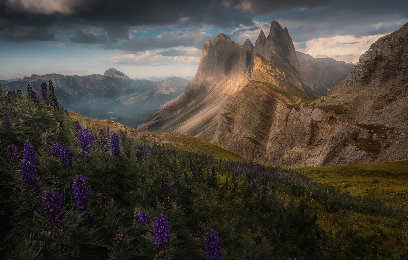 Фото обои цветы, горы, радуга, Альпы