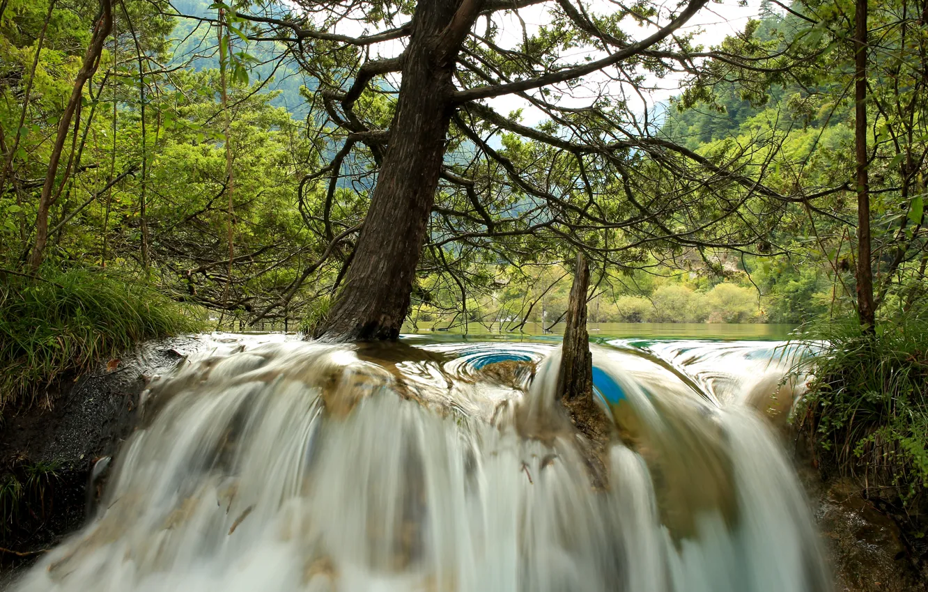 Фото обои лес, деревья, река, водопад, Китай, Jiuzhaigou National Park