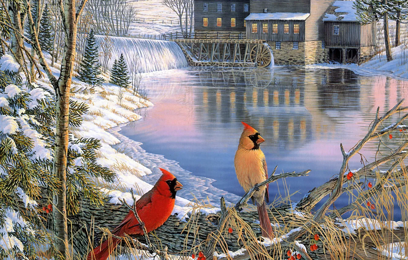 Фото обои зима, лес, снег, деревья, оранжевый, ветки, красный, природа