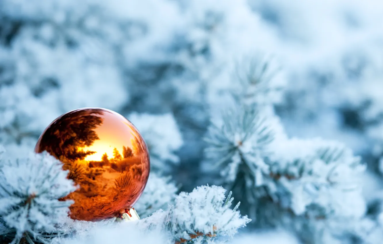 Фото обои зима, снег, ветки, отражение, ель, шарик, ёлка, ёлочная игрушка