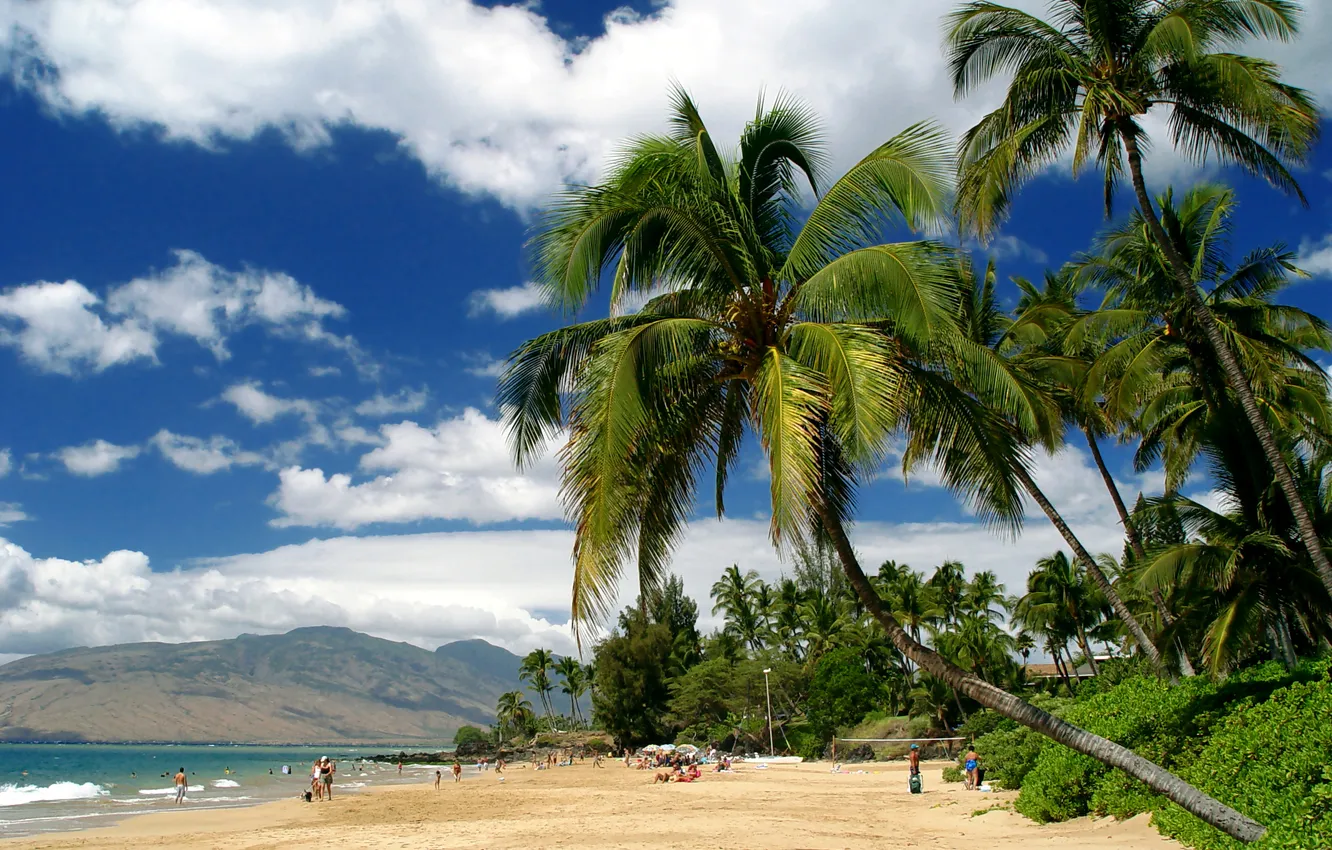 Фото обои песок, море, пляж, облака, горы, тропики, пальмы, берег