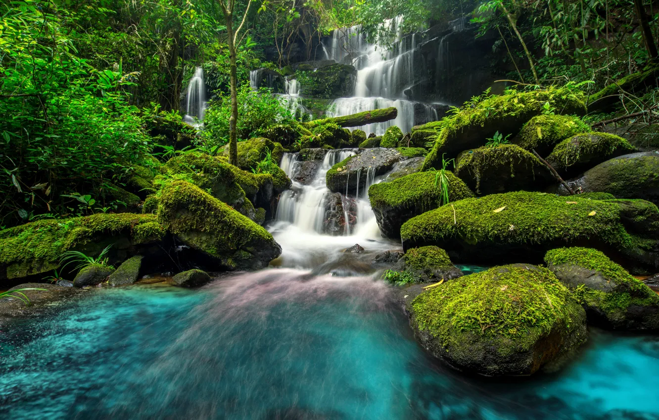 Фото обои лес, река, водопад, forest, river, jungle, beautiful, waterfall