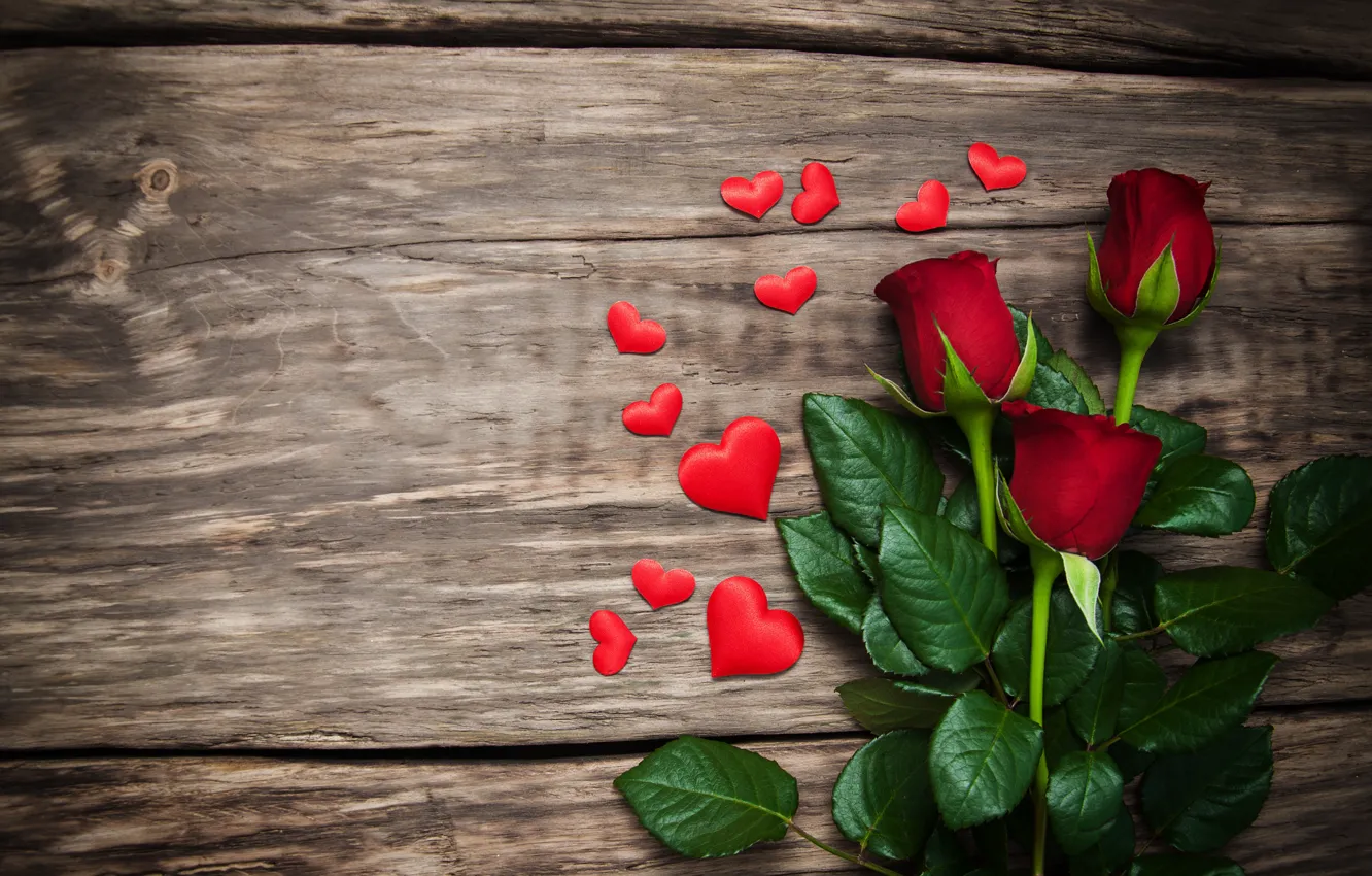 Фото обои фон, дерево, розы, сердечки, красные, три, День святого Валентина