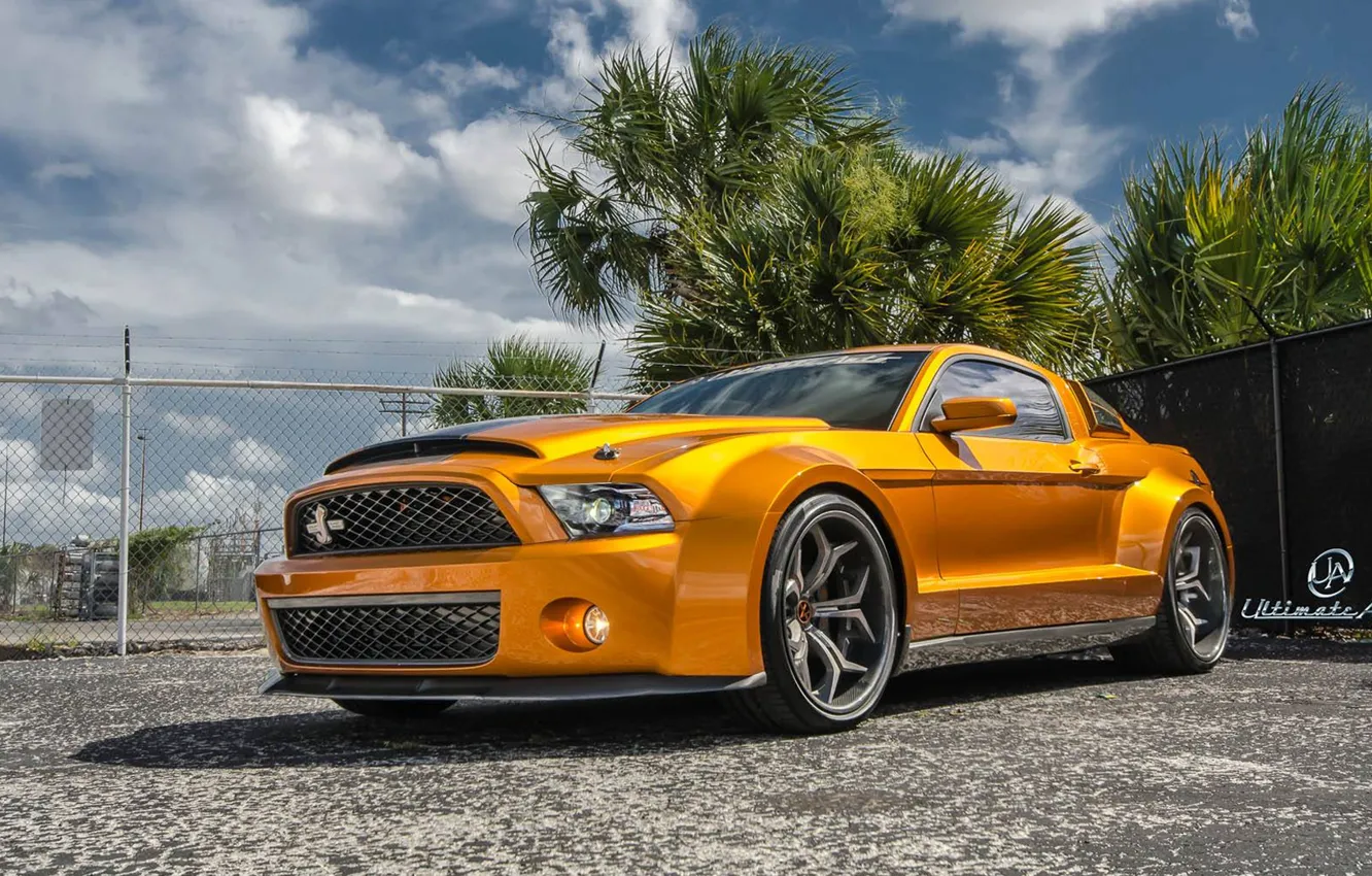 Фото обои Mustang, Ford, Shelby, GT500, muscle car, front, orange, Super Snake