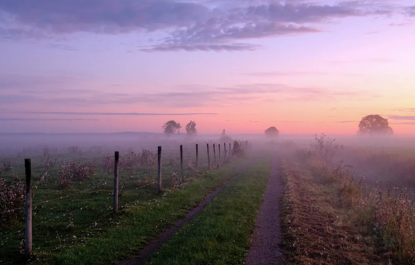 Фото обои поле, небо, облака, деревья, туман, восход, рассвет, утро