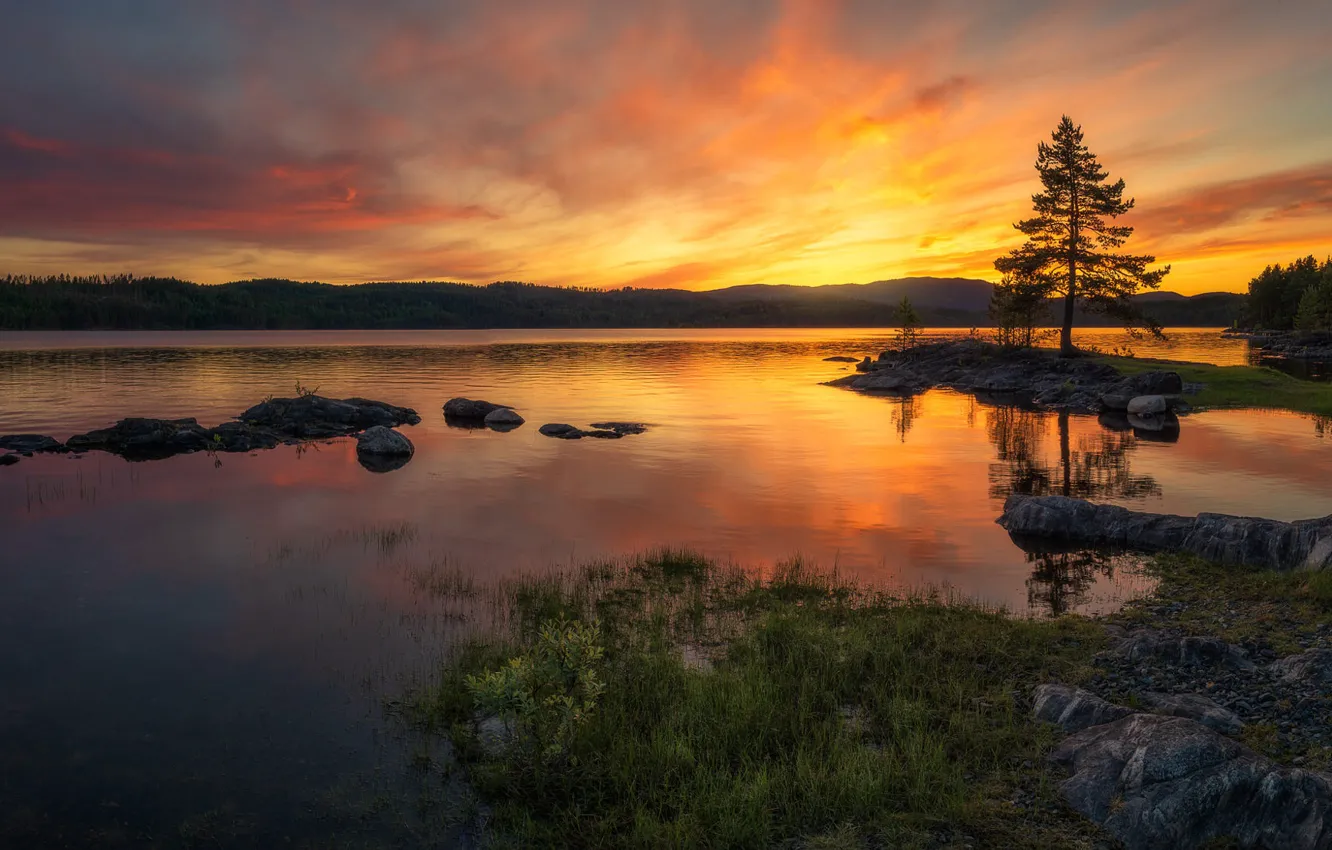 Фото обои лес, закат, озеро, холмы, Норвегия, Norway, Ringerike, Ole Henrik Skjelstad
