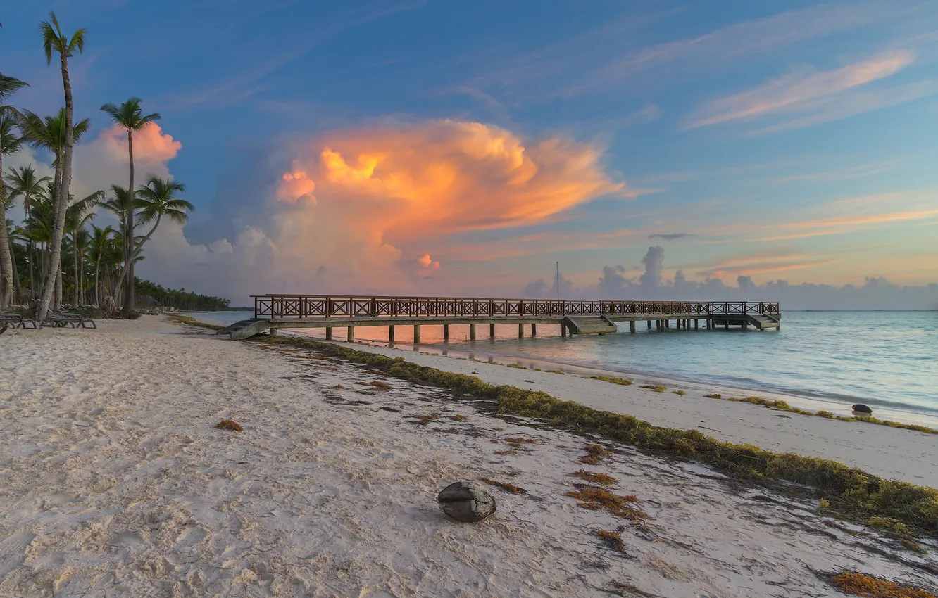 Фото обои пляж, небо, облака, пальмы, океан, кокос, пирс