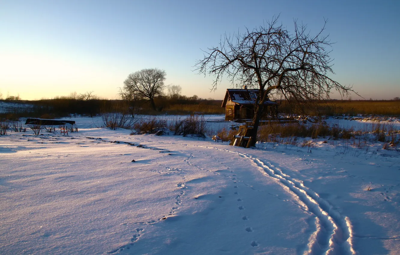 Фото обои зима, снег, дом, утро