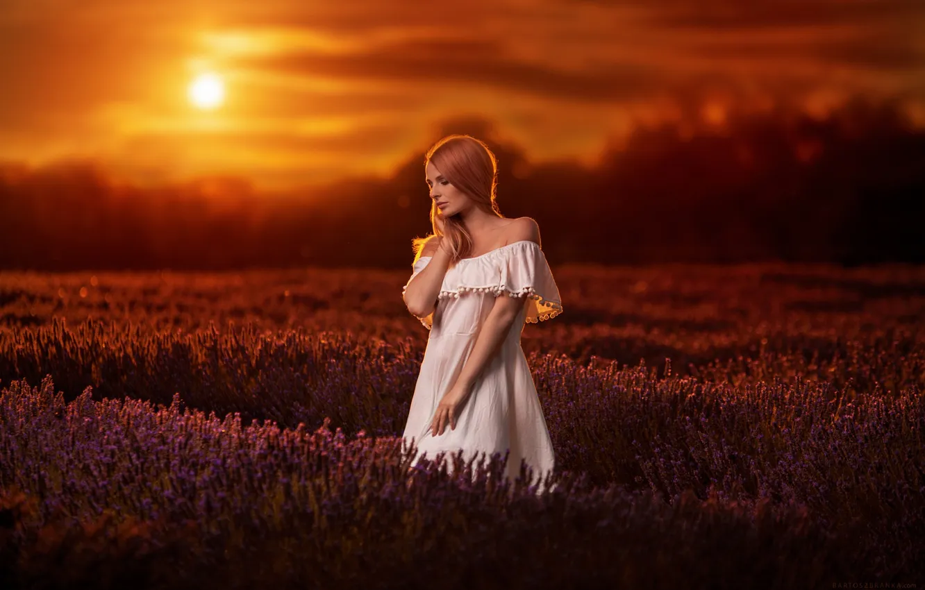 Фото обои Girl, Model, Sunset, Beauty, Lavender, Field, Dress, Nice
