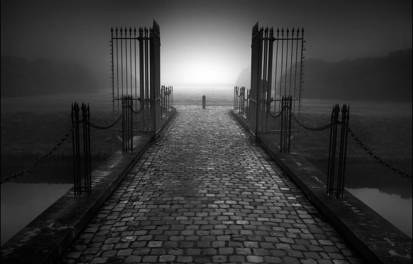 Фото обои дорога, туман, ограда, ворота, сумерки, Меланхолия