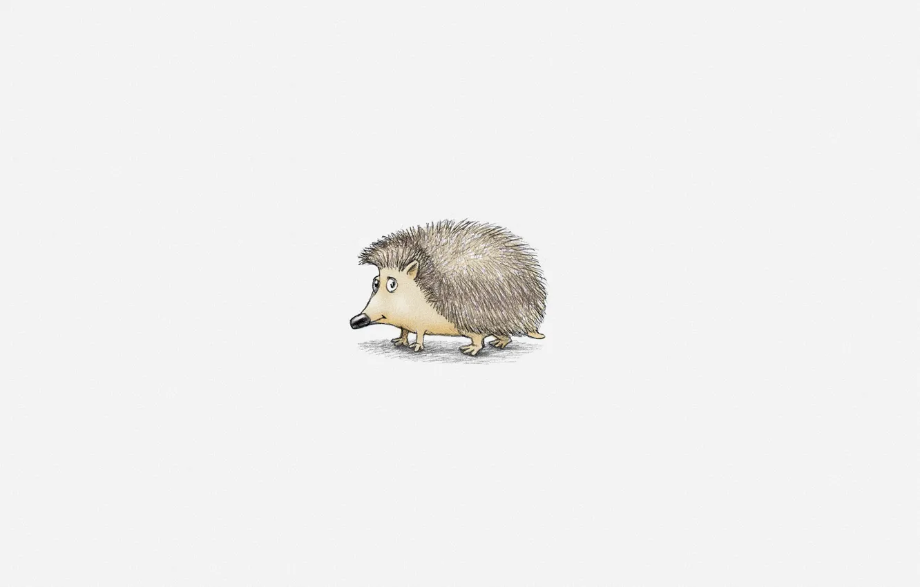 Фото обои минимализм, белый фон, ежик, hedgehog