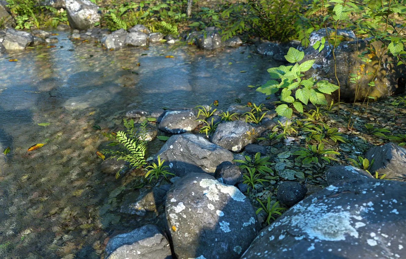 Фото обои природа, камни, растительность, водоём, Fern Water PW