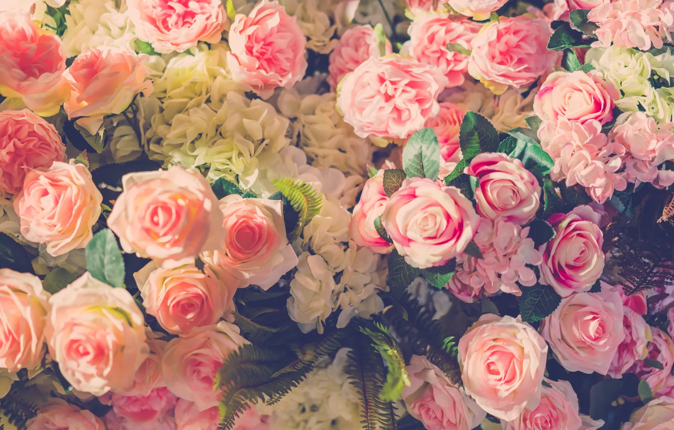 Фото обои цветы, розы, лепестки, бутоны, flowers, roses