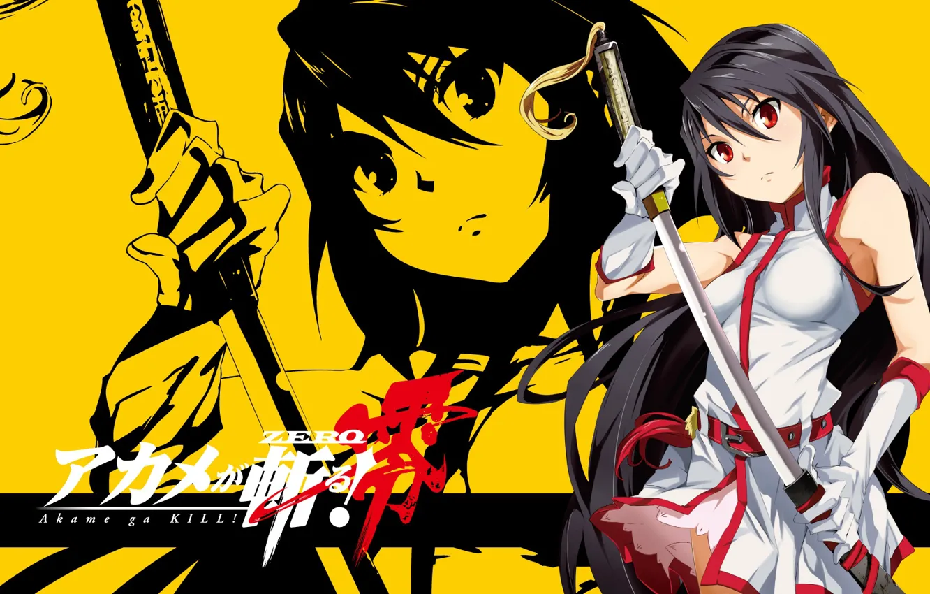Фото обои girl, kill, anime, katana, akame ga
