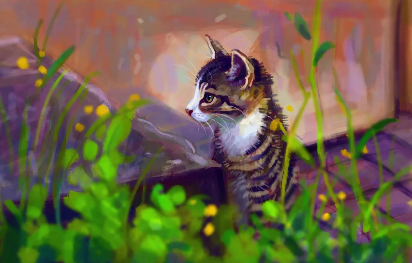 Фото обои котенок, сидит, by Meorow