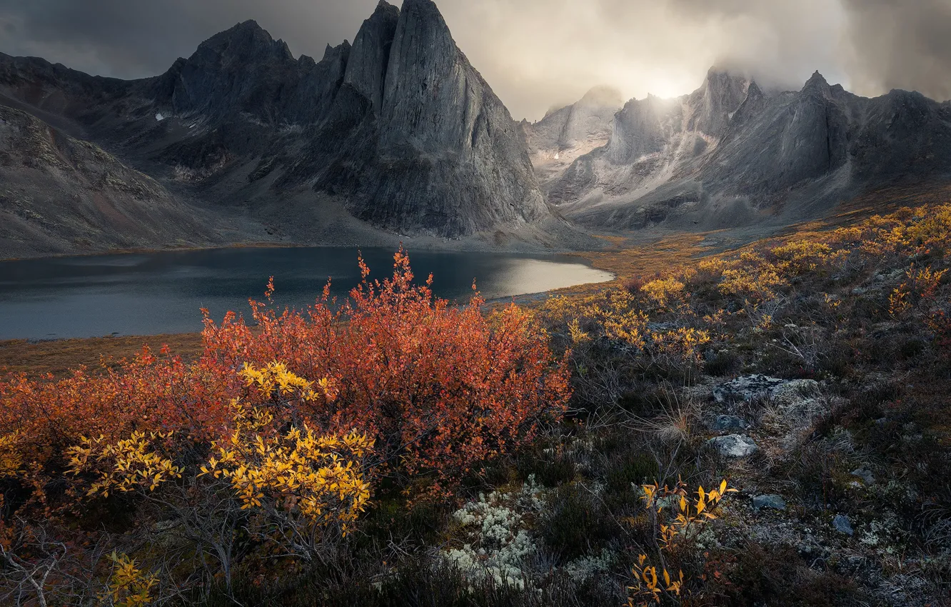 Фото обои осень, горы, озеро, скалы, берег, листва, кусты, водоем