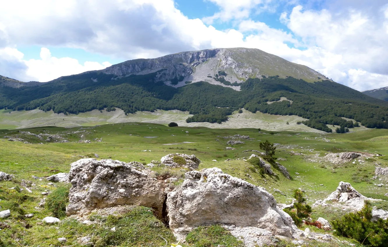 Фото обои rock, sky, trees, landscape, Italy, Calabria, Pollino National Park, Monte Pollino
