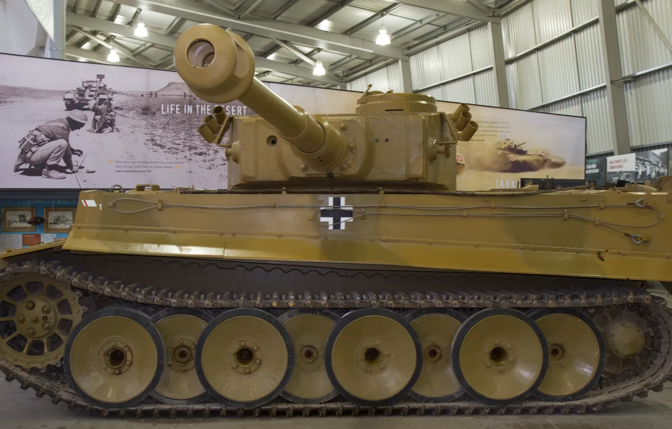 Фото обои Тигр, музей, немецкий, тяжелый танк, tiger I