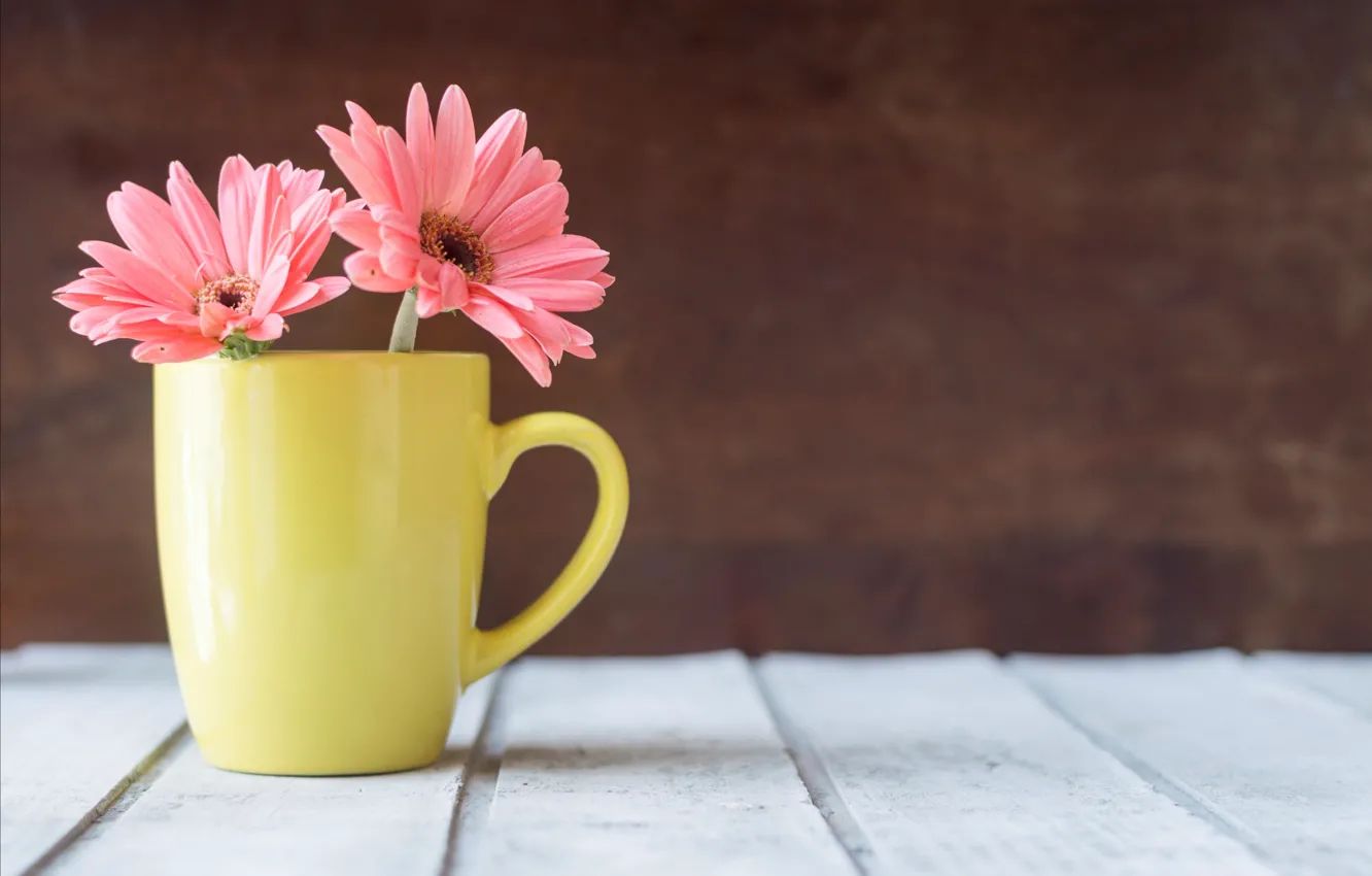 Фото обои цветы, кружка, хризантемы, wood, pink, flowers, mug