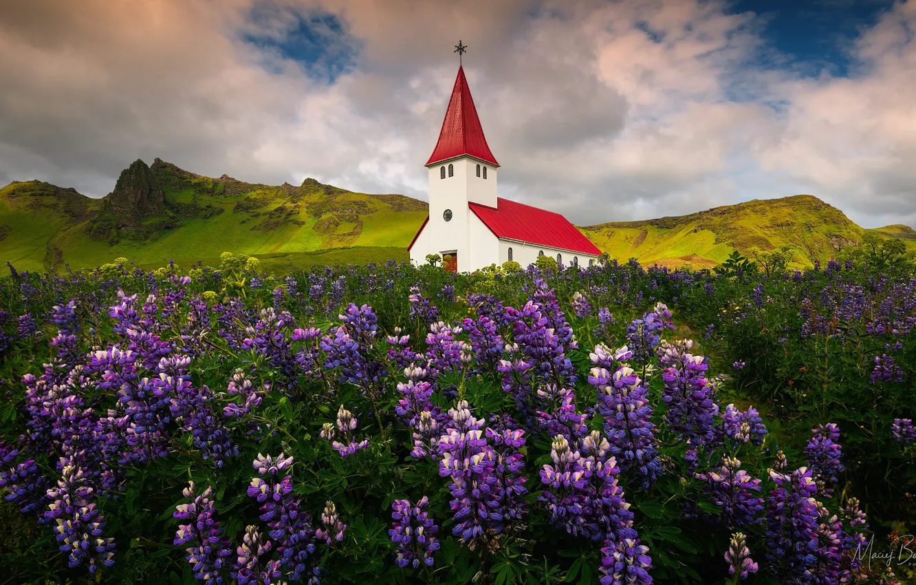 Фото обои поле, облака, пейзаж, цветы, горы, природа, деревня, Норвегия