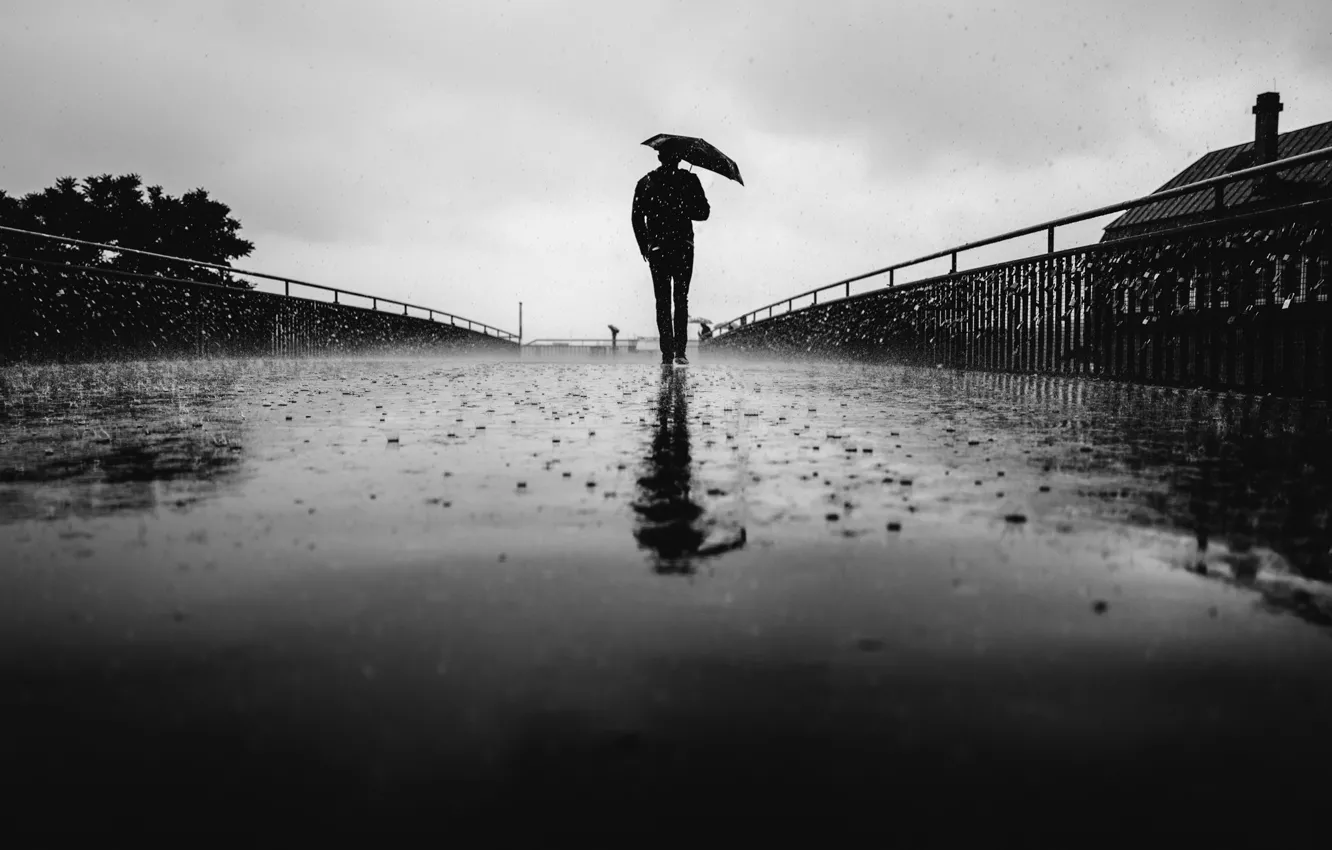 Фото обои umbrella, man, back, cloudy, raining, urban scene